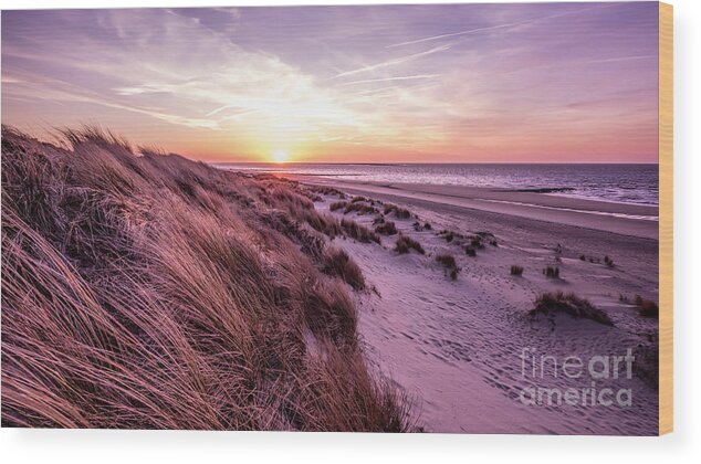 Beach Wood Print featuring the photograph Beach of Renesse by Daniel Heine