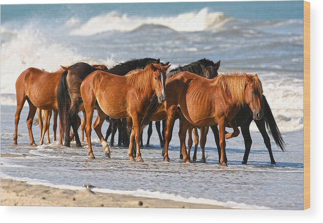 Waves Wood Print featuring the photograph Beach Ponies by Robert Och