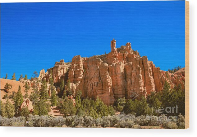 Red Canyon Wood Print featuring the photograph Beautiful Sandstone by Robert Bales