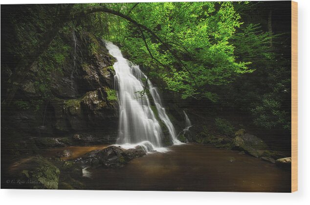 Tremont Wood Print featuring the photograph Beech Tree Falls by C Renee Martin