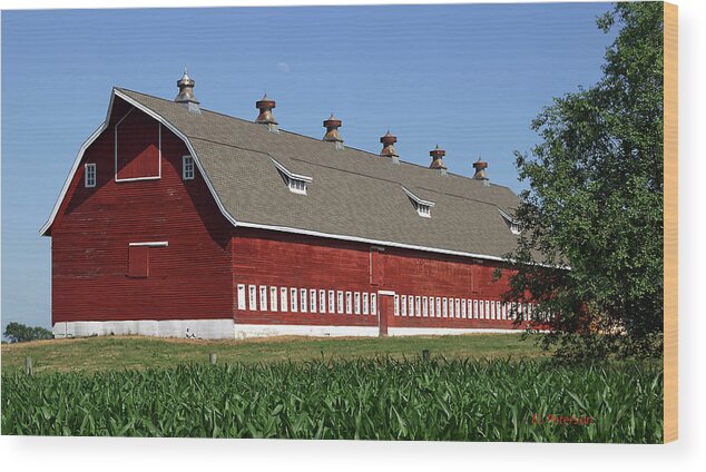 Barns Wood Print featuring the photograph Big Red Barn in Spring by Ed Peterson