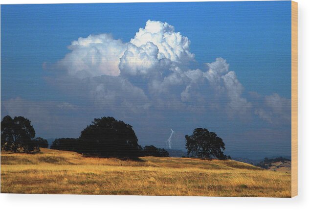 Photography Wood Print featuring the photograph Billowing Thunderhead by Frank Wilson