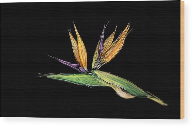 Bird Of Paradise Wood Print featuring the digital art Bird of Paradise - Revisited by Thomas Hamm