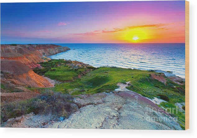 Blanche Point Sunset South Australia Seascape Australian Clay Cliffs Gull Rock Wood Print featuring the photograph Blanche Point Sunset by Bill Robinson