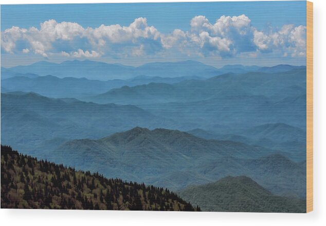 Great Smoky Mountains Wood Print featuring the photograph Blue on Blue - Great Smoky Mountains by Nikolyn McDonald