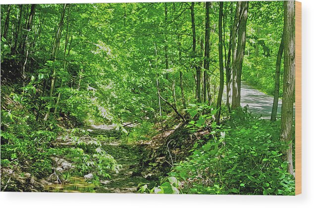 Brook Wood Print featuring the pyrography Brook in the Trees by Joe Roache