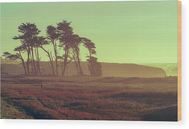 Mendocino Wood Print featuring the photograph California Glow by Nisah Cheatham