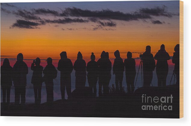 acadia National Park Wood Print featuring the photograph Cadillac Mountain Sunset. by New England Photography
