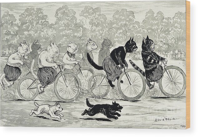 History Wood Print featuring the photograph Cats In A Bicycle Race, Hyde Park, 1896 by Wellcome Images