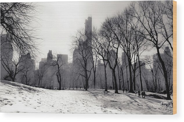 Manhattan Wood Print featuring the photograph Central Park, Manhattan by Christopher Maxum
