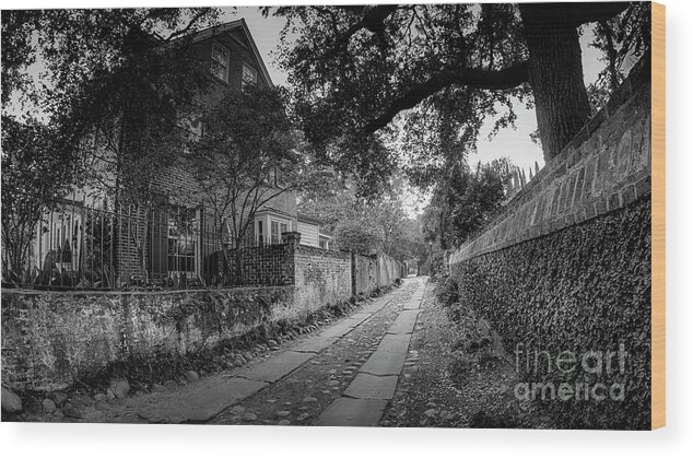 Black And White Wood Print featuring the photograph Charleston Ally Path by David Smith