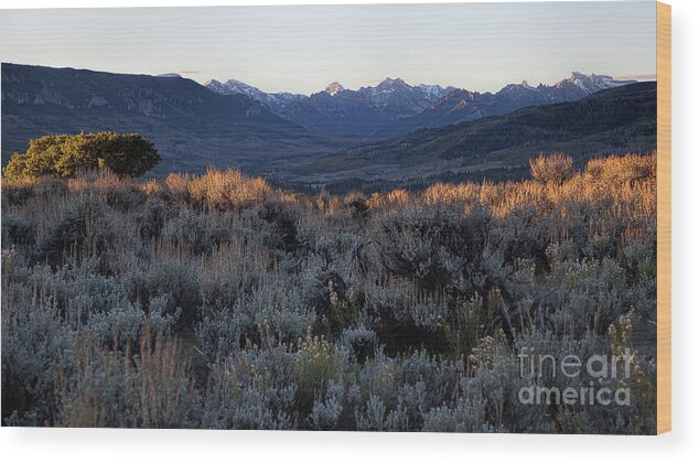 Mountain Landscape Wood Print featuring the photograph Cimmaron Valley Overlook by Jim Garrison