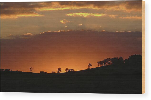 Australia Wood Print featuring the photograph Clarkes Road II by Evelyn Tambour