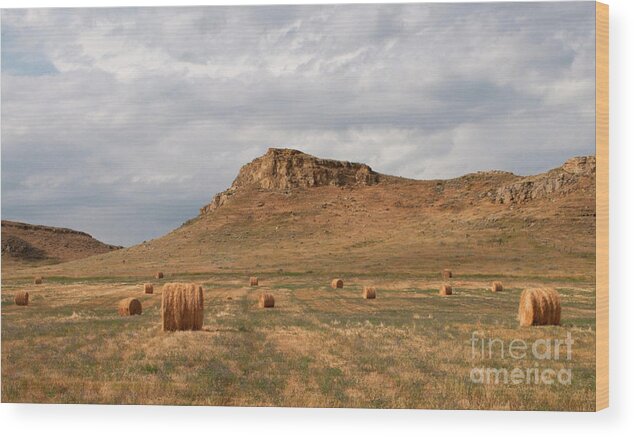 Farm Wood Print featuring the photograph Clouds and Bales by Julia McHugh