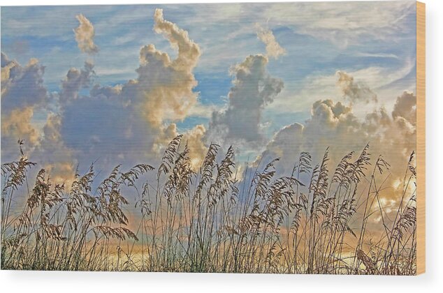 Seaoats Wood Print featuring the photograph Clouds And Seaoats by HH Photography of Florida