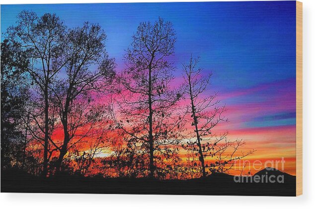 Woods Wood Print featuring the photograph Colorful Sky by Brianna Kelly