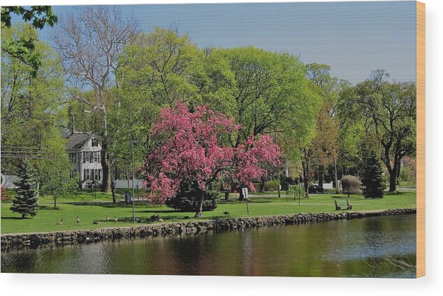 Water Wood Print featuring the photograph Connecticut by John Scates