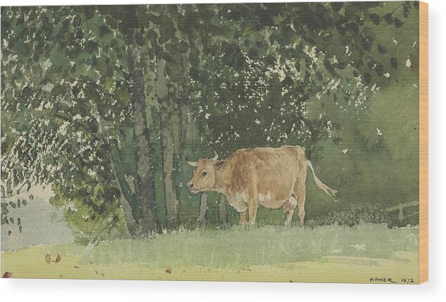 19th Century American Painters Wood Print featuring the painting Cow in Pasture by Winslow Homer
