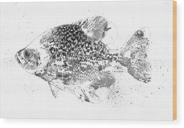 Jq Licensing Wood Print featuring the painting Crappie Abstract by Jon Q Wright