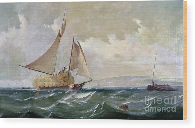 1871 Wood Print featuring the photograph Denny: Hay Schooner, 1871 by Granger