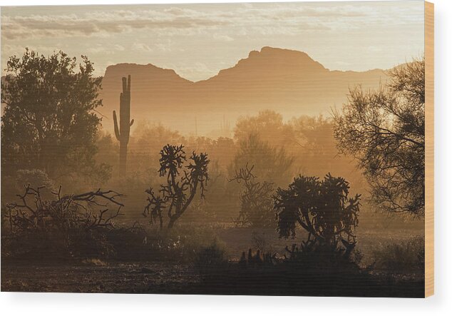 Desert Wood Print featuring the photograph Desert Dust by Sue Cullumber