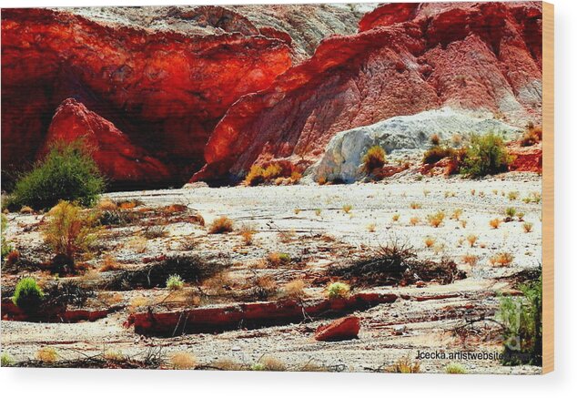 Land Wood Print featuring the photograph Desert memory by Barbara Leigh Art
