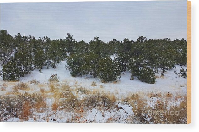 Southwest Landscape Wood Print featuring the photograph Desert tree line by Robert WK Clark