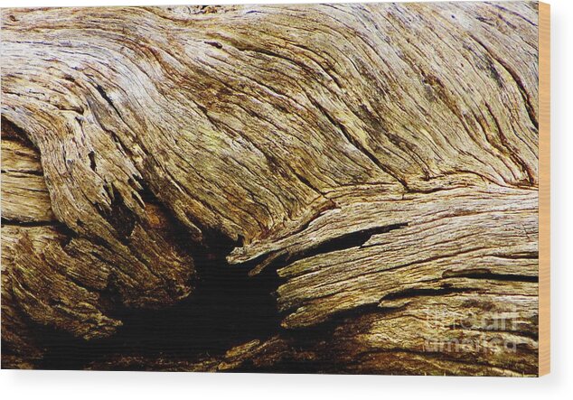 Driftwood Wood Print featuring the photograph Driftwood by Tim Townsend