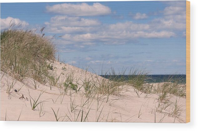 Dunes Wood Print featuring the photograph Dunes of White Horse Beach by Janice Drew