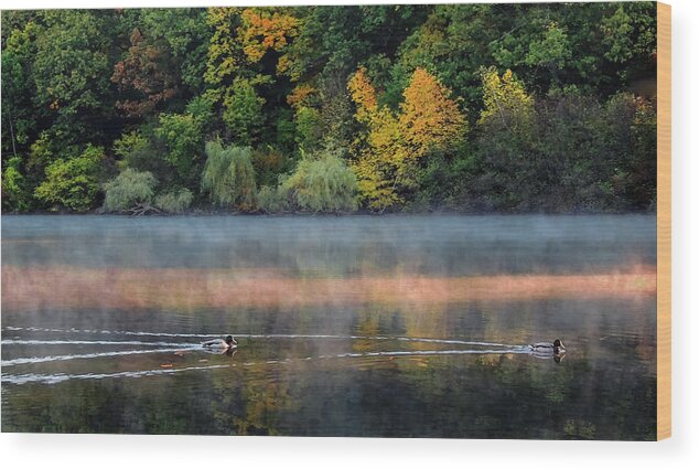 Landscape Wood Print featuring the photograph Early Autumn Morning at Longfellow Pond by Robert Mitchell