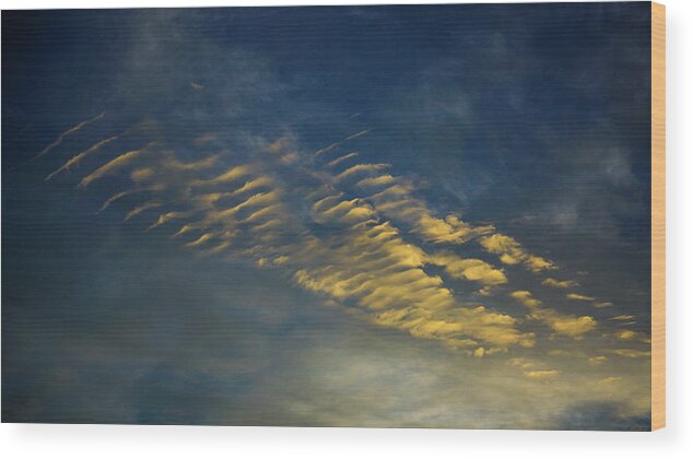 Florida Wood Print featuring the photograph Echo Cloud Delray Beach Florida by Lawrence S Richardson Jr