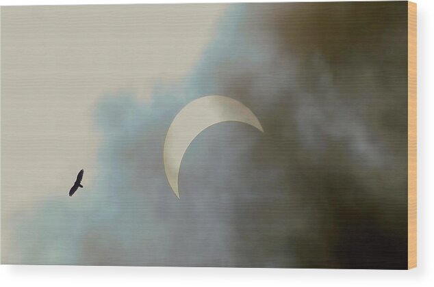 Eclipse Wood Print featuring the photograph Eclipse With Hawk 8-21-17 by Jennifer Wheatley Wolf