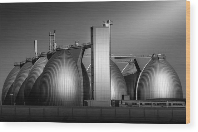 Architecture Wood Print featuring the photograph Eggs by Jan Rauwerdink