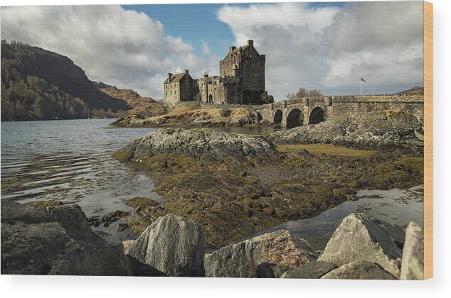Eilean Donan Castle Wood Print featuring the photograph Eilean Donan Castle by Holly Ross