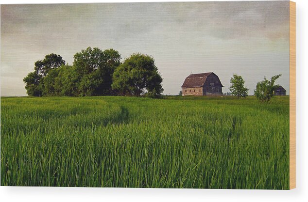 Prairie Wood Print featuring the photograph End of Day by Keith Armstrong
