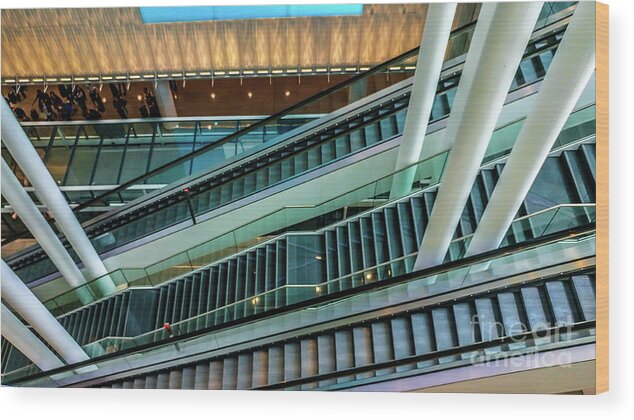 Transportation Wood Print featuring the photograph Escalators and columns in Munich airport by Claudia M Photography