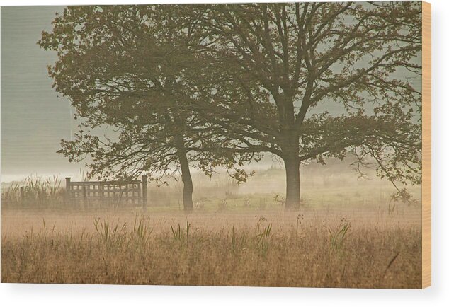 Autumn Mist Wood Print featuring the photograph Evening Mist - 365-192 by Inge Riis McDonald