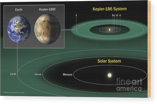 Science Wood Print featuring the photograph Exoplanet Kepler-186 And The Solar by Science Source