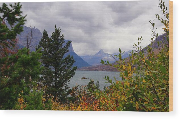 Fall Wood Print featuring the photograph Fall Framed Wild Goose Island by Tracey Vivar