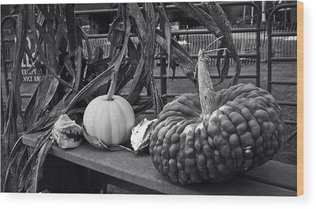 Gourd Wood Print featuring the photograph Fall Gourds by George Taylor