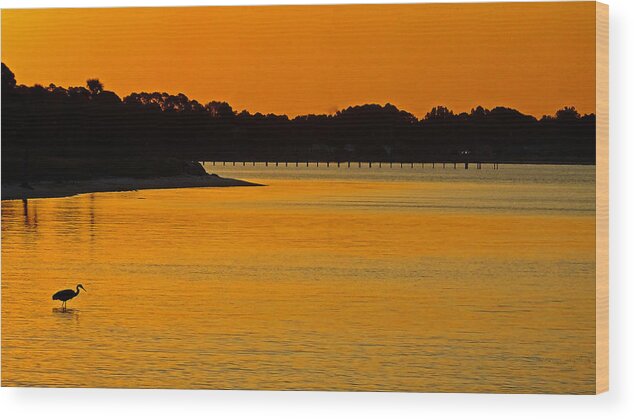 Sunrise Wood Print featuring the photograph Fishing at Sunrise by Judy Wanamaker