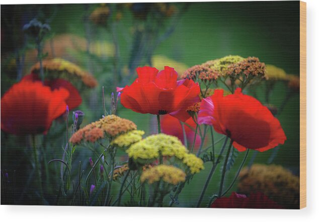  Wood Print featuring the photograph Cottage Garden by Sublime Ireland