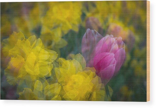 Spring Wood Print featuring the photograph Flowers in Motion by Joye Ardyn Durham