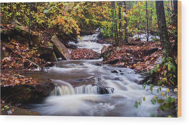 Waterfall Wood Print featuring the photograph Forest Gem by Parker Cunningham