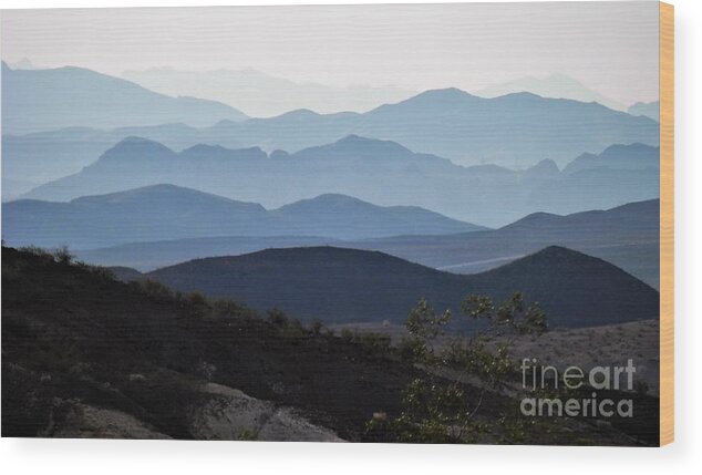 Mountain Landscape Wood Print featuring the photograph Forever amen by Barbara Leigh Art