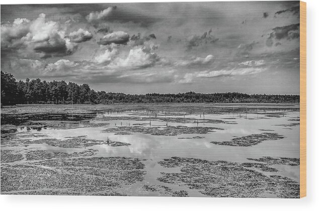 B&w Wood Print featuring the photograph Franklin Parker Preserve - Chadsworth Landscape by Louis Dallara