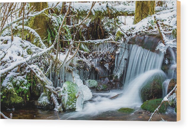 Art Wood Print featuring the photograph Frozen Creek by Jason Brooks