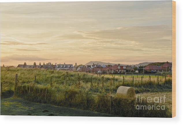 Countryside Landscape Wood Print featuring the photograph Golden Evening. by Elena Perelman