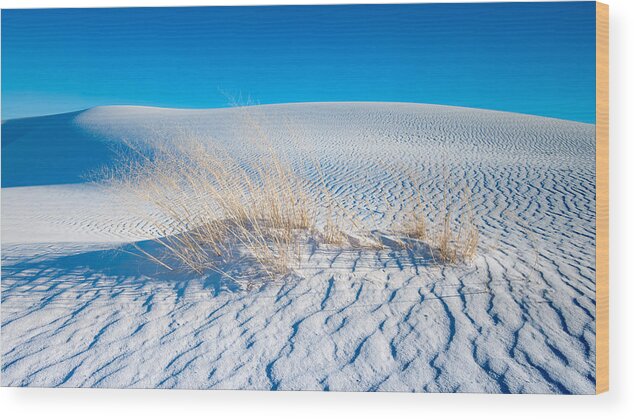 White Sands New Mexico Wood Print featuring the photograph Grass and Dunes by Joseph Smith