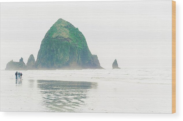 North America Wood Print featuring the photograph Haystack Rock by Nisah Cheatham